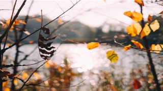 没怀孕的女人梦见胎动厉害凸出来(梦见怀女孩 胎动厉害)