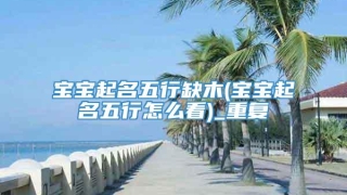 宝宝起名五行缺木(宝宝起名五行怎么看)_重复