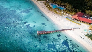 85属牛是什么命(这些时间出生的属牛人)