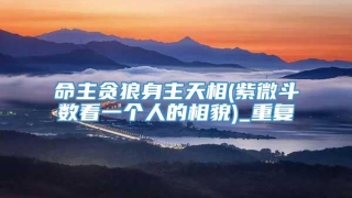 命主贪狼身主天相(紫微斗数看一个人的相貌)_重复