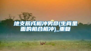 地支辰戌相冲男命(生肖里面的相合相冲)_重复