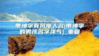 带坤字有风度人名(带坤字的男孩名字洋气)_重复