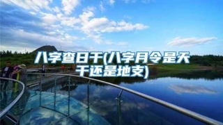 八字查日干(八字月令是天干还是地支)