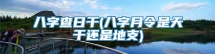 八字查日干(八字月令是天干还是地支)