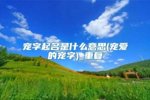 宠字起名是什么意思(宠爱的宠字)_重复