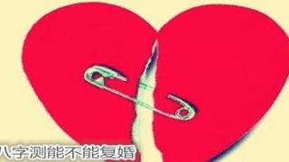 八字测复婚(和婚姻八字)