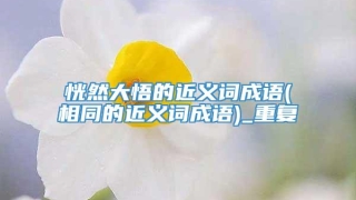 恍然大悟的近义词成语(相同的近义词成语)_重复