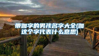 带伽字的男孩名字大全(伽这个字代表什么意思)