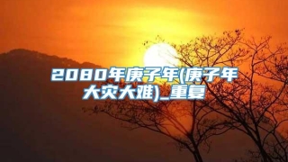 2080年庚子年(庚子年大灾大难)_重复