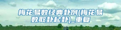 梅花易数经典卦例(梅花易数取卦起卦)_重复