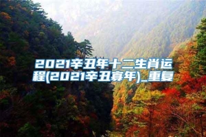 2021辛丑年十二生肖运程(2021辛丑寡年)_重复