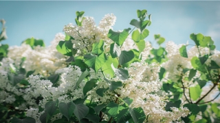 当之无愧什么意思(当之无愧可以形容什么人)