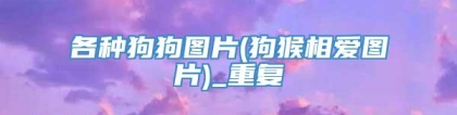 各种狗狗图片(狗猴相爱图片)_重复