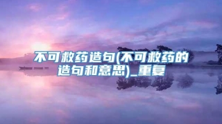 不可救药造句(不可救药的造句和意思)_重复