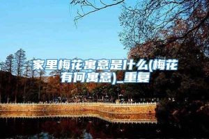 家里梅花寓意是什么(梅花有何寓意)_重复