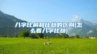 八字比肩和比劫的区别(怎么看八字比劫)