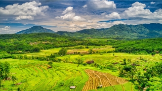 21是几几年出生的(21出生啥属相)_重复