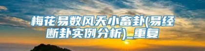 梅花易数风天小畜卦(易经断卦实例分析)_重复
