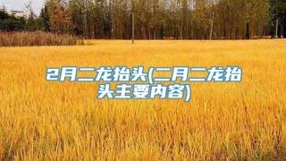 2月二龙抬头(二月二龙抬头主要内容)