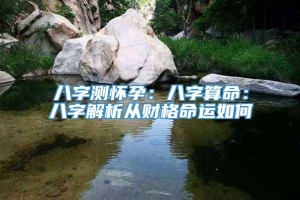 八字测怀孕：八字算命：八字解析从财格命运如何