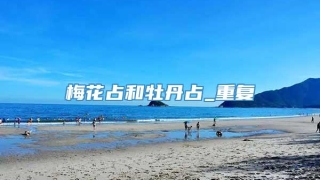 梅花占和牡丹占_重复