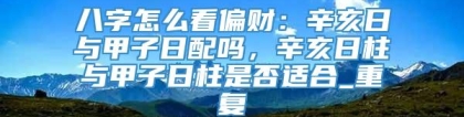 八字怎么看偏财：辛亥日与甲子日配吗，辛亥日柱与甲子日柱是否适合_重复