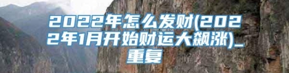 2022年怎么发财(2022年1月开始财运大飙涨)_重复
