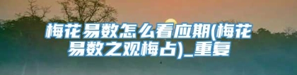 梅花易数怎么看应期(梅花易数之观梅占)_重复