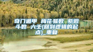 奇门遁甲 梅花易数 紫微斗数 六壬(回到逻辑的起点)_重复