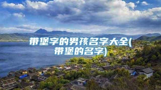 带堡字的男孩名字大全(带堡的名字)