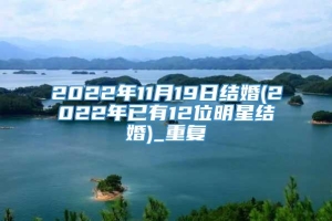 2022年11月19日结婚(2022年已有12位明星结婚)_重复