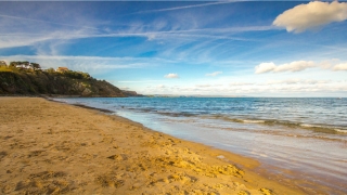 瓷都起名网免费算命(冰墩墩背后的“世界陶瓷之都”)