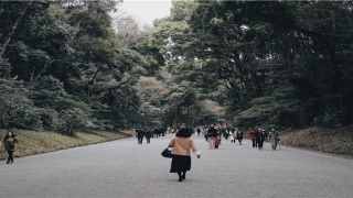 鼎力相助的意思(鼎力相助一般表示什么)