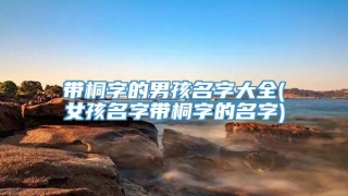 带桐字的男孩名字大全(女孩名字带桐字的名字)