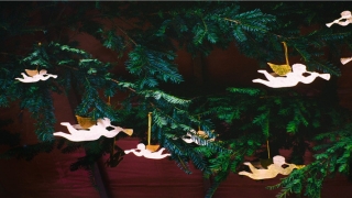 87年属兔34岁2022运势(1987年水瓶座女运势)