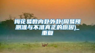 梅花易数内卦外卦(周易预测准与不准真正的原因)_重复