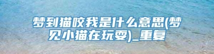 梦到猫咬我是什么意思(梦见小猫在玩耍)_重复
