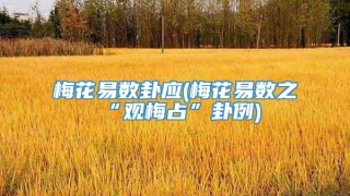 梅花易数卦应(梅花易数之“观梅占”卦例)