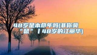 48岁是本命年吗(非你莫“鼠”丨48岁的江丽华)