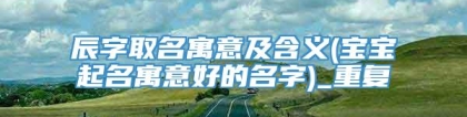 辰字取名寓意及含义(宝宝起名寓意好的名字)_重复
