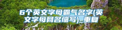 6个英文字母霸气名字(英文字母网名缩写)_重复