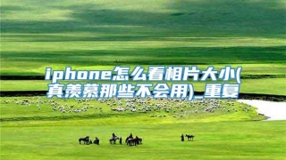 iphone怎么看相片大小(真羡慕那些不会用)_重复