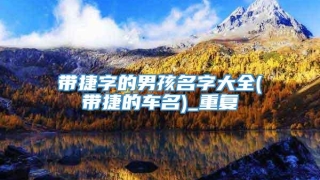 带捷字的男孩名字大全(带捷的车名)_重复