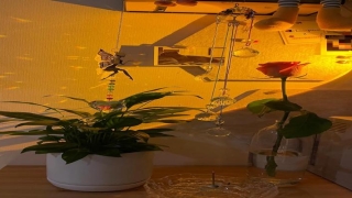 白水晶放在家里的什么方位好(水晶对应星象令水逆退散水逆)