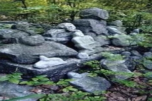 八字纯阴的人很倒霉(古代民间鬼故事)