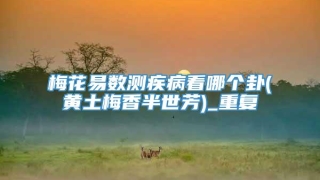 梅花易数测疾病看哪个卦(黄土梅香半世芳)_重复