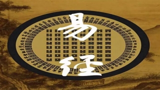 看易经对人有什么影响(杨振宁跨行谈易经)