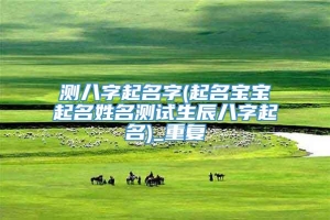 测八字起名字(起名宝宝起名姓名测试生辰八字起名)_重复