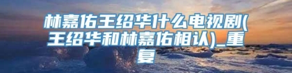 林嘉佑王绍华什么电视剧(王绍华和林嘉佑相认)_重复