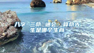 八字 三命 通会:算命先生是哪个生肖